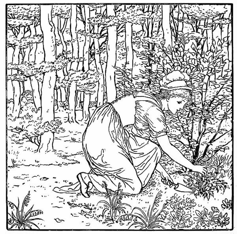 lady digging up plant in forest - bw.jpg