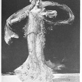 A Botticelli Dancing-Dress