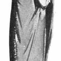 An Egyptian Peasant Woman