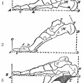 The natural and artificial positions of the foot