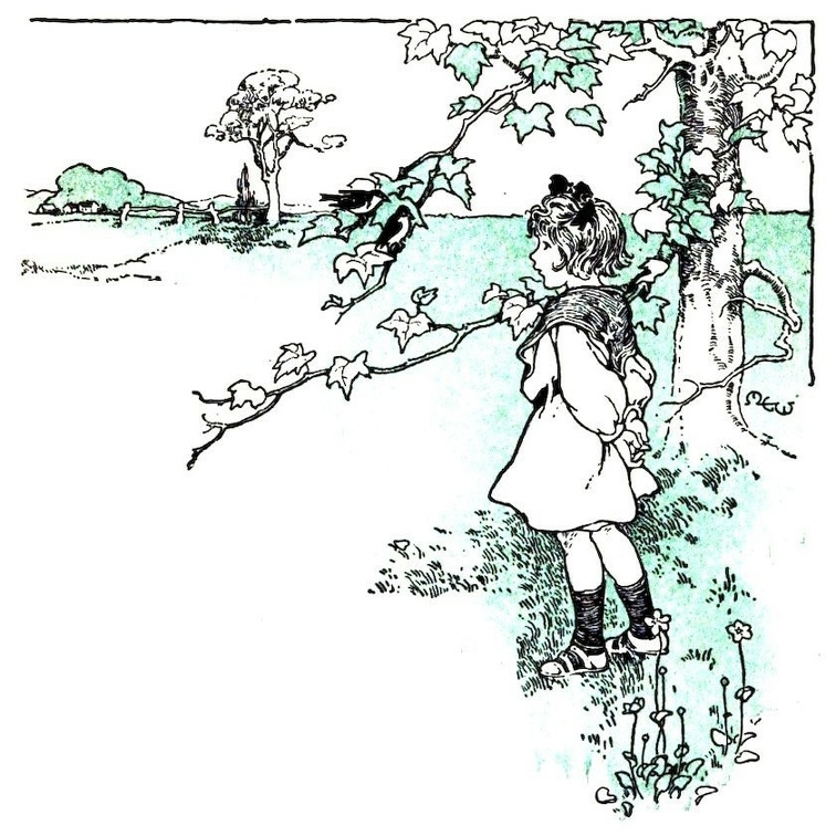 Girl looking at birds in a tree.jpg