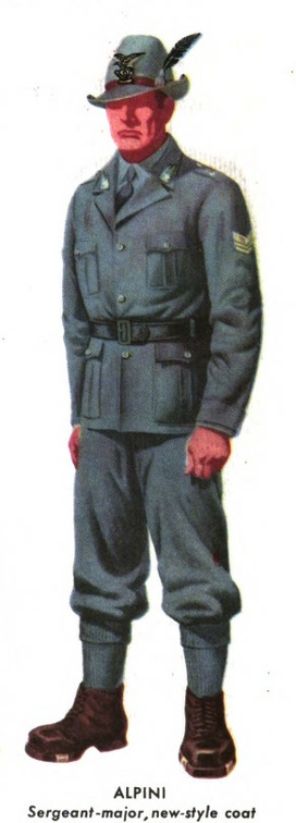 Sergeant-major, new-style coat.jpg