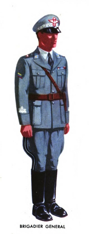 Brigadier General.jpg