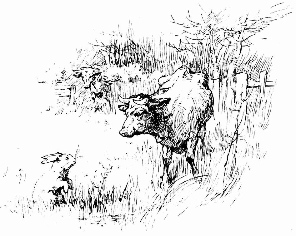 Cows and a rabbit.jpg