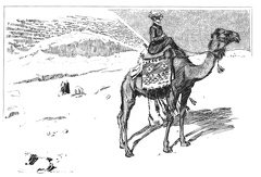 Camel-back