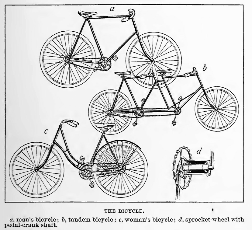 The Bicycle.jpg