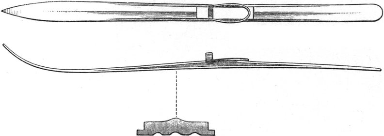 The skis used by the expedition, from above, seen from the side and on average.png