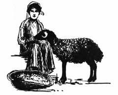 Shepherdess with a sheep