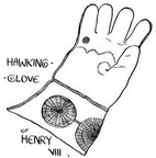 Hawking-glove of Henry VIII