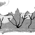 Section of the Earth’s Crust.jpg