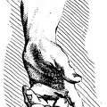 Hand 3.jpg