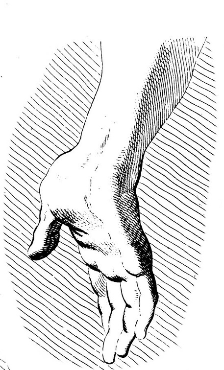 Hand 1.jpg