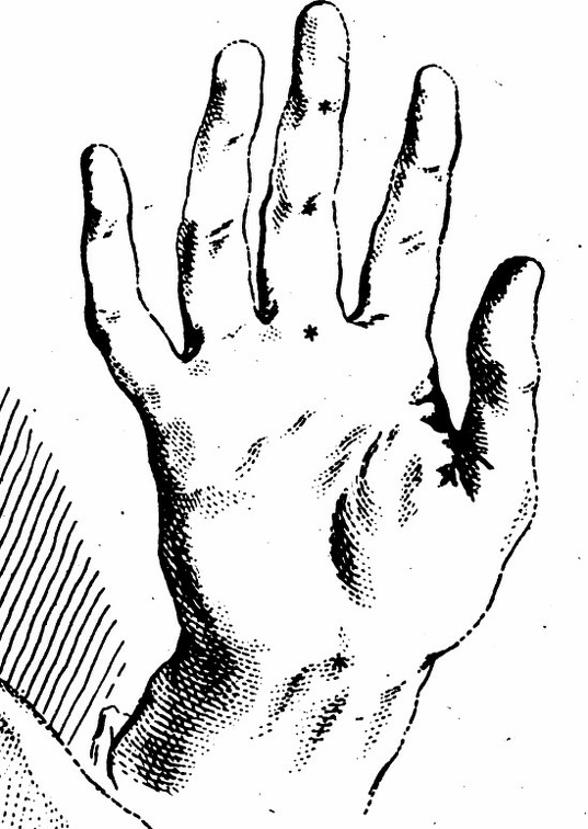Hand 5.jpg