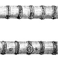 Earliest Models of Cannon