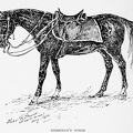 Sheridan's Horse