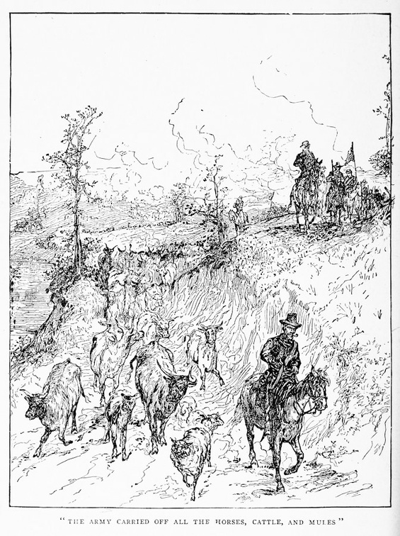 The Army carries off all the horses, cattle and mules.jpg