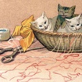 Kittens playing