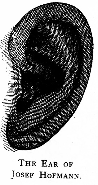 Ear of Josef Hofmann.jpg