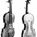 Constituent parts of the violin - Exterior