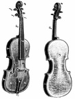 Constituent parts of the violin - Exterior