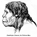 Eoanthropus Dawsoni, the Piltdown Man.jpg