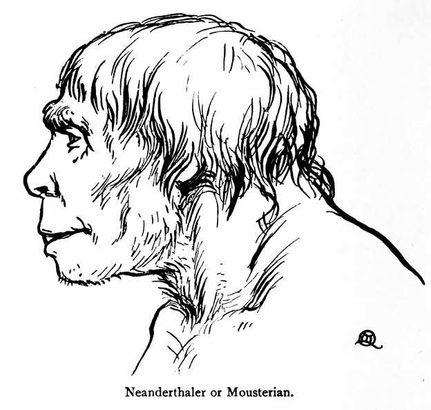 Neanderthaler or Mousterian