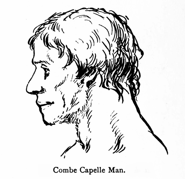 Combe Capelle Man.jpg