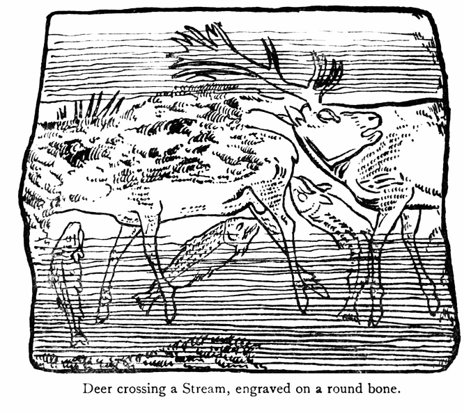 Deer crossing a stream, engraved on a round bone