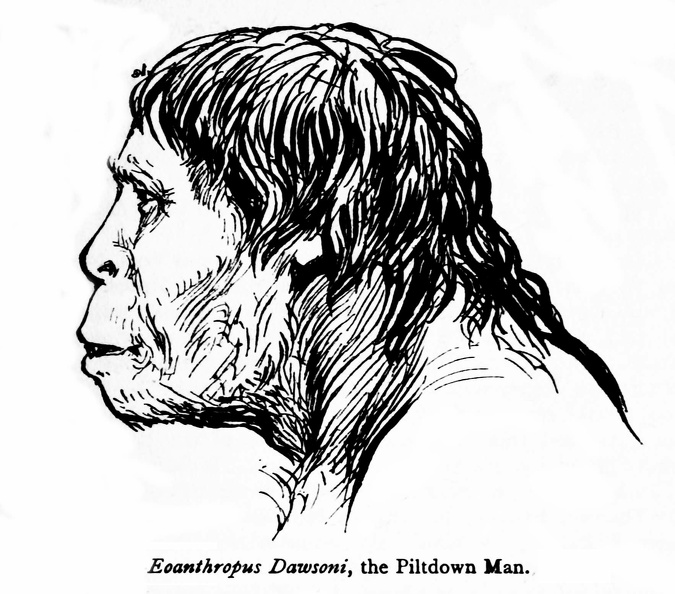Eoanthropus Dawsoni, the Piltdown Man.jpg