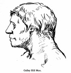 Galley Hill Man
