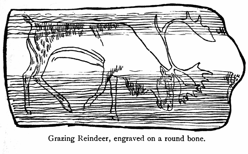 Grazing Reindeer, engraved on a round bone