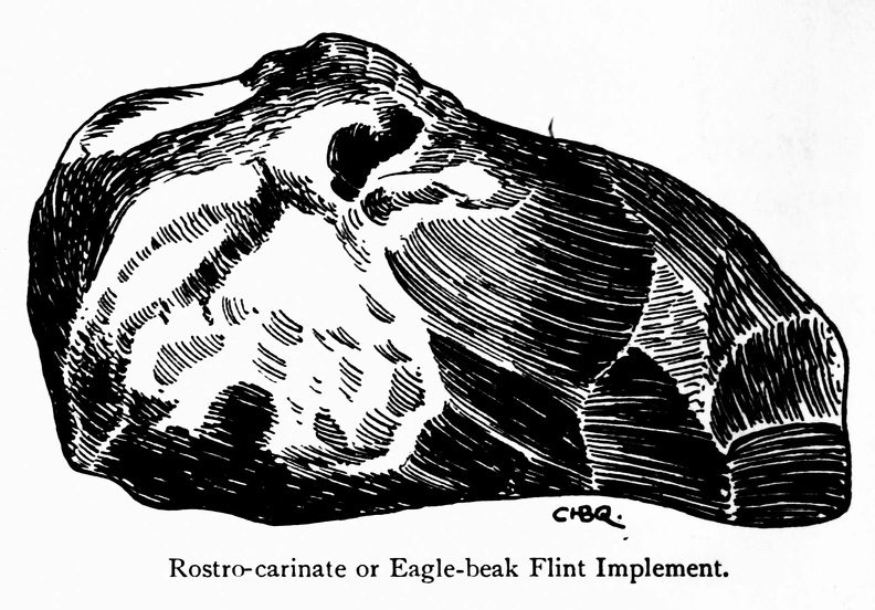 Rostro-carinate or Eagle-beak Flint Implement