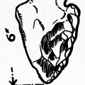 Strepyan Boucher or Hand-axe