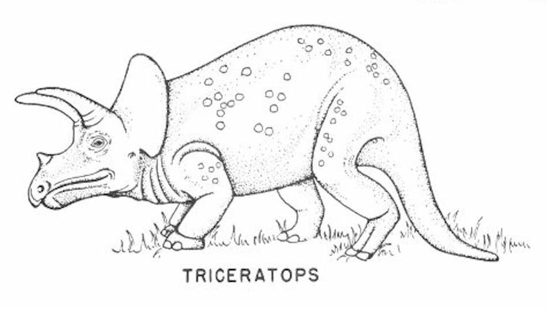 Ornithischian dinosaurs - Triceratops