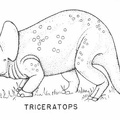 Ornithischian dinosaurs - Triceratops