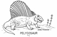 Pelycosaur