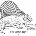 Pelycosaur