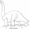 Saurischian dinosaurs - Brontosaurus