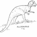 Saurischian dinosaurs - Allosaurus