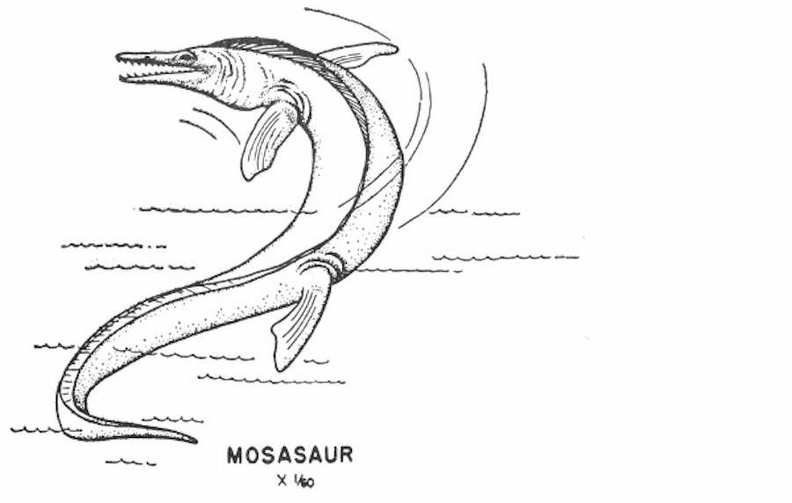 Swimming Reptiles - Mosasaur.jpg