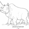 Tertiary mammals - Brontotherium