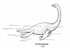 Swimming Reptiles - Plesiosaur