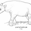 Tertiary mammals - Uintatherium