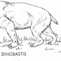 Cenozoic mammals - Dinobastis