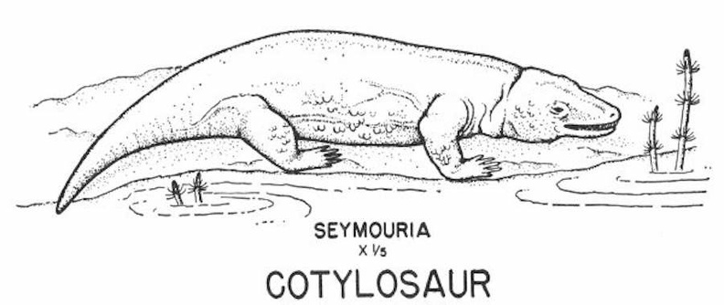 Cotylosaur