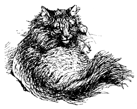 Long Haired Cat  'Tiger' .png