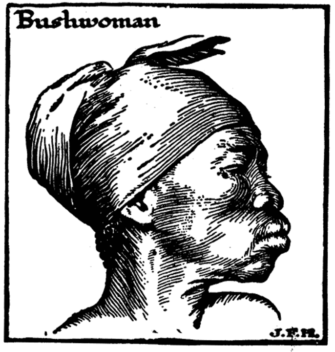 Bushwoman.png