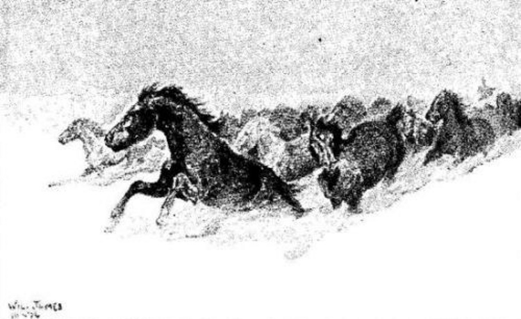 Horses running in snow