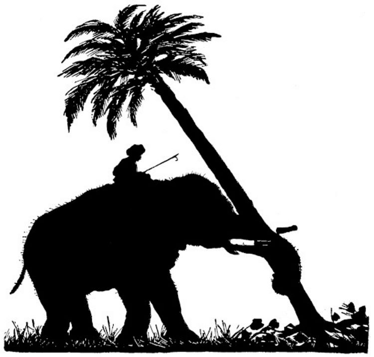 Elephant pulling out a tree.jpg