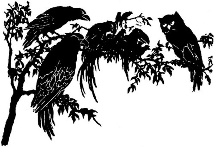 Birds in a tree.jpg